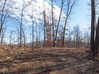 Beautiful Missouri Land : Piedmont : Reynolds County : Missouri