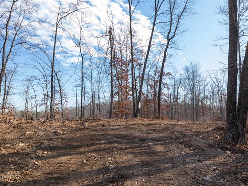 Beautiful Missouri Land : Piedmont : Reynolds County : Missouri