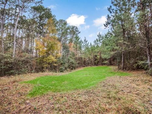 46 Acres Connected to Homochitto : Gloster : Amite County : Mississippi