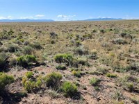 Tavaputs Trail Rio Grande : Antonito : Costilla County : Colorado