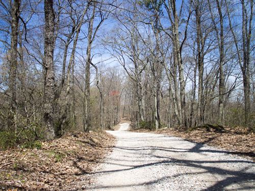 No Credit Check Hunting Land : Mount Vernon : Rockcastle County : Kentucky