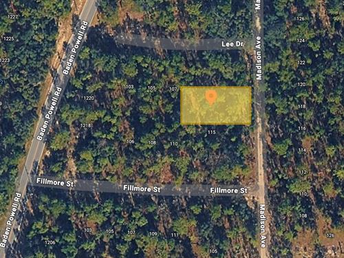 Affordable Lot At 117 Madison Ave : Hawthorne : Putnam County : Florida
