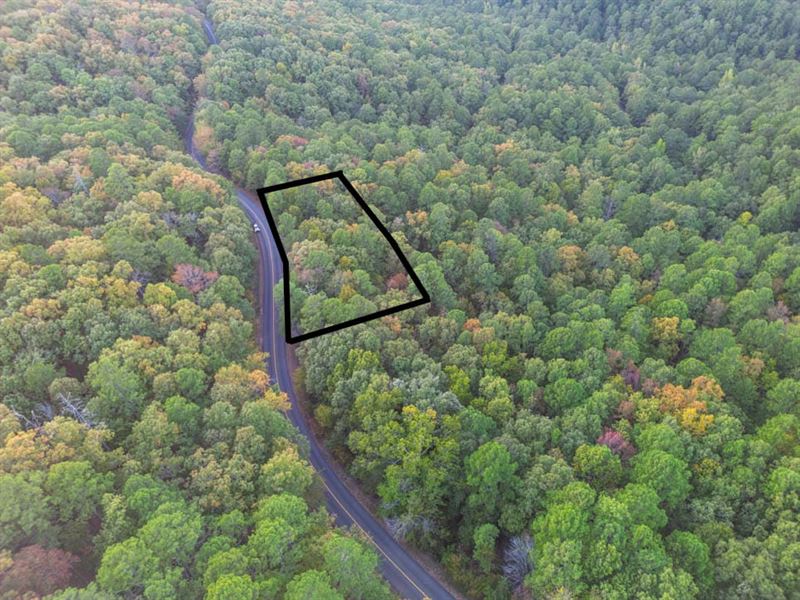 Wooded with All The Amenities : Hot Springs Village : Saline County : Arkansas