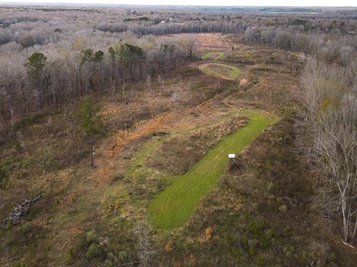 130 Acres With a Cabin in Claiborne : Hermanville : Claiborne County : Mississippi