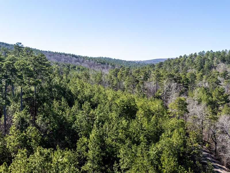 Black Bear 104 : Waldron : Scott County : Arkansas