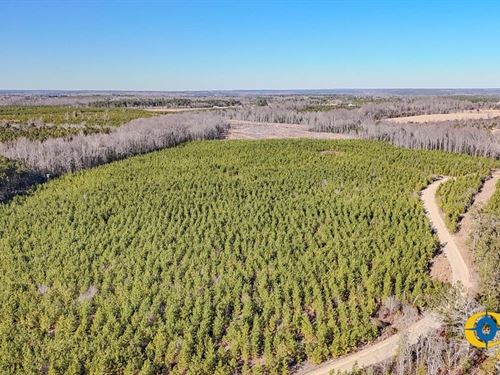 Bradley Trail North : Jefferson : Kershaw County : South Carolina