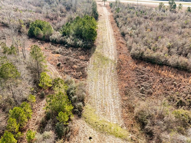 Build, Hunt & Escape, Affordable : Collins : Covington County : Mississippi