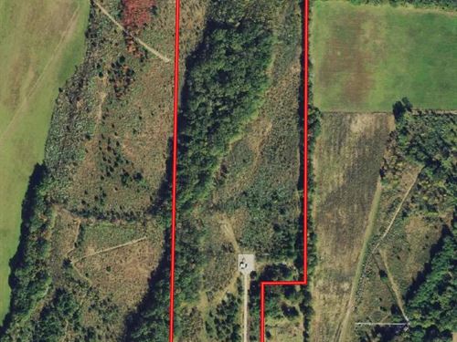 La, Richland 28 Acres : Holly Ridge : Richland Parish : Louisiana