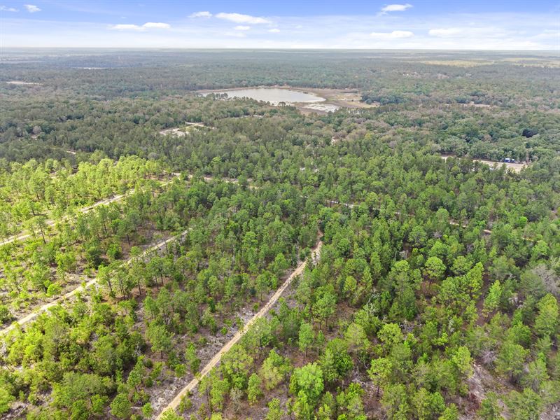 Perfect for Vacation Rental $319/Mo : Hawthorne : Putnam County : Florida