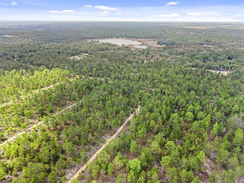Perfect for Vacation Rental $319/Mo : Hawthorne : Putnam County : Florida