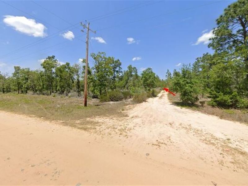 Perfect for Vacation Rental $240/Mo : Hawthorne : Putnam County : Florida