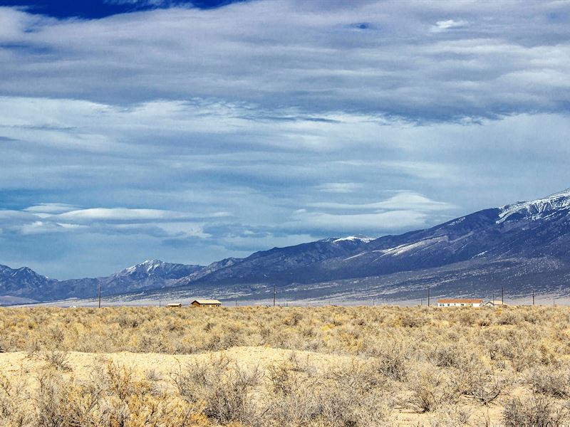 5.26Ac Quad Lot, Power & Views : Alamosa : Alamosa County : Colorado