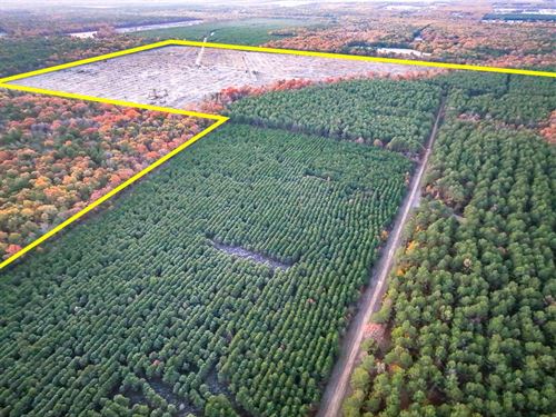 211 Acres, CR 2108, Kiskadee, 70 : Bagwell : Red River County : Texas