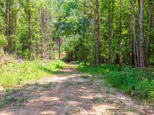 Recreational Land $999 Down : Lexington : Henderson County : Tennessee