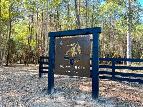 11 Acres, FM 350, T-14, Plum Cre : West Livingston : Polk County : Texas
