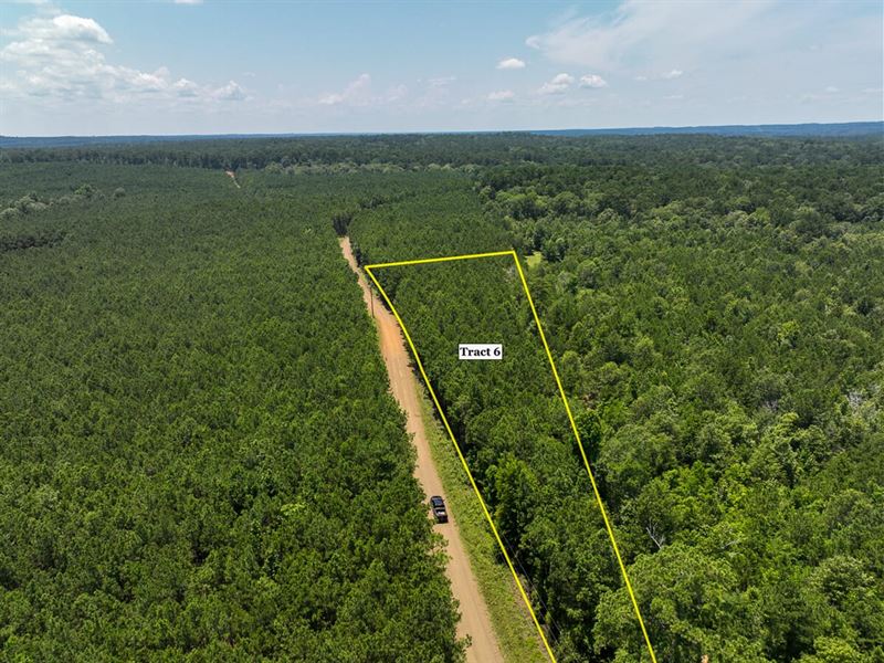 3 Acres, T-6, Bayou Road, 1023 : Milam : Sabine County : Texas