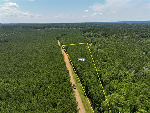 3 Acres, T-6, Bayou Road, 1023 : Milam : Sabine County : Texas