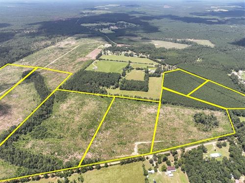 19 Acres, T-8, Sunflower Road, 0 : Dallardsville : Polk County : Texas