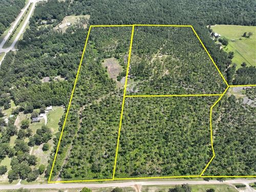 27 Acres, CR 258, T-2 : Jasper : Texas