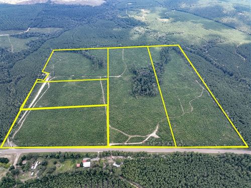 16 Acres, T-4, County Road 235 : Browndell : Jasper County : Texas