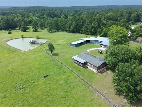 31 Acres, 570 Four Notch Road : Huntsville : Walker County : Texas