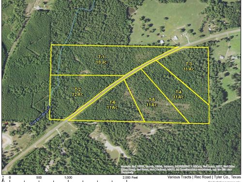12 Acres, Rec Road 255, T-2 : Colmesneil : Tyler County : Texas