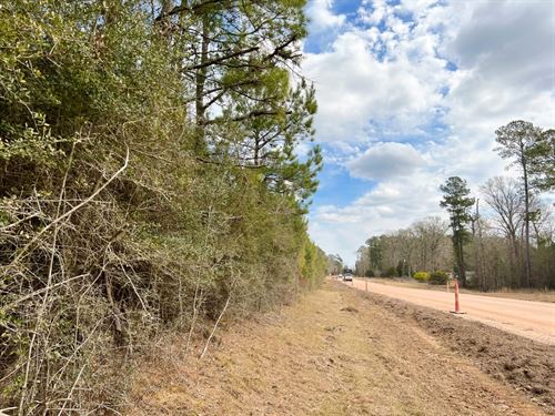 26 Acres, T-7, FM 1746 : Spurger : Tyler County : Texas
