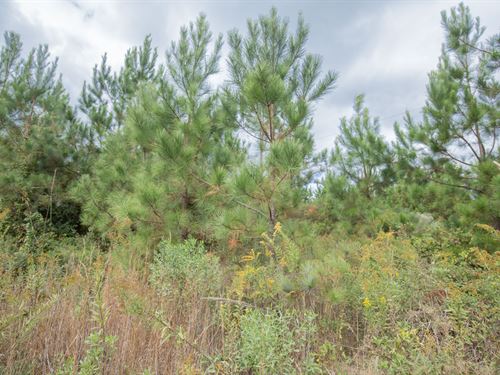 Owner Finance Property with Power : McCool : Attala County : Mississippi