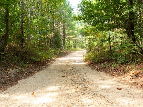 No Credit Check Land, $499 Down : Hohenwald : Perry County : Tennessee