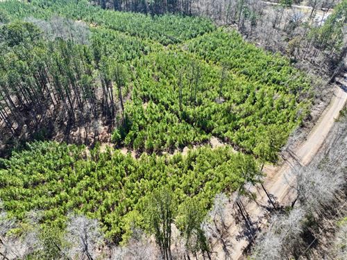 Beautiful Rural Homesite : Sparta : Hancock County : Georgia
