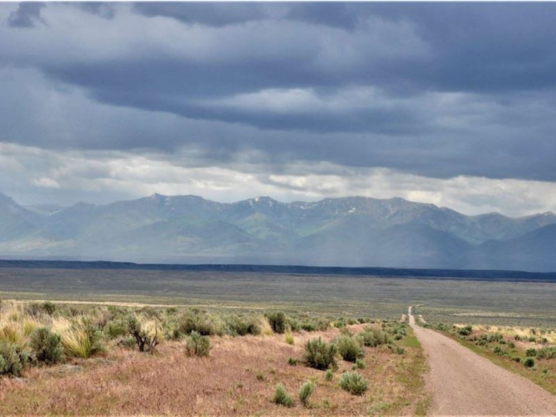 1.13 Acre, Your Paradise, $100/Mo : Elko : Elko County : Nevada