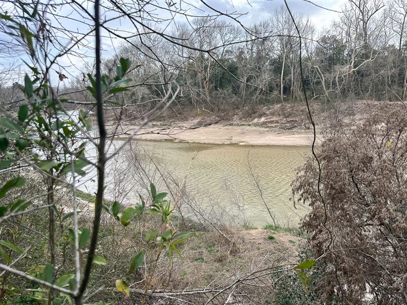 .41 Ac, Redbud Dr : Conroe : Montgomery County : Texas