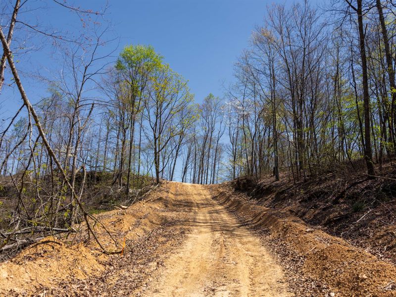 Recreational Land $499 Down : Mount Vernon : Rockcastle County : Kentucky