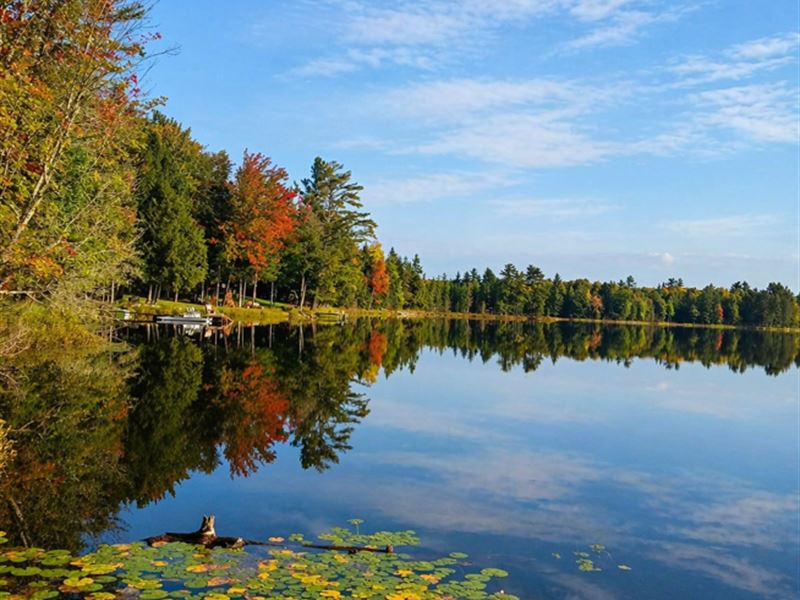 U.P. Robinson Lake Parcel : Iron River : Iron County : Michigan