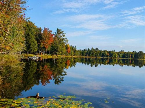 U.P. Robinson Lake Parcel : Iron River : Iron County : Michigan