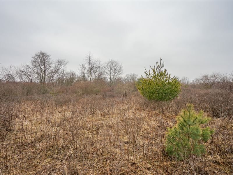 Build Your New Home on 3.44 Acres : Cumberland : Guernsey County : Ohio