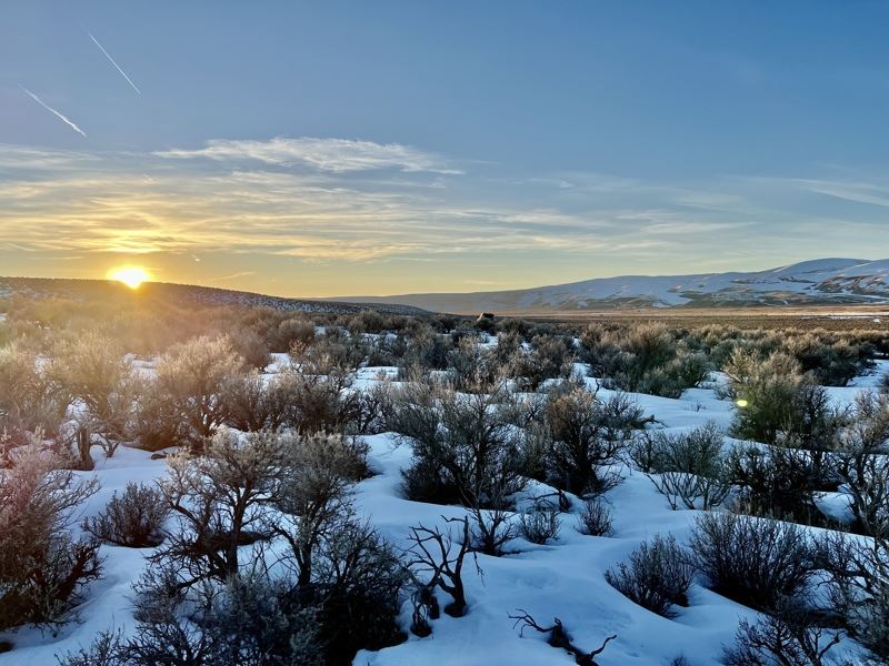 10 Ac Open Space Off-Grid $230/Mo : Montello : Elko County : Nevada