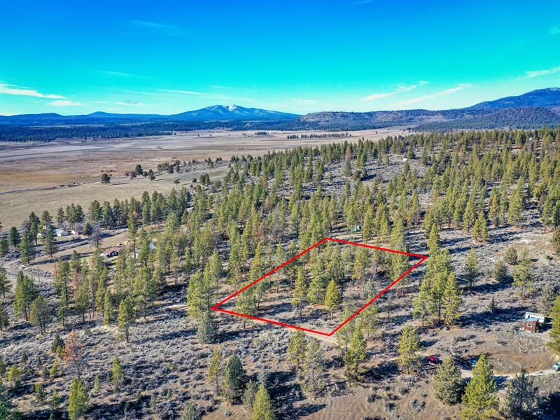 Sold -1.53 Acres Your Way Your Life : Chiloquin : Klamath County : Oregon