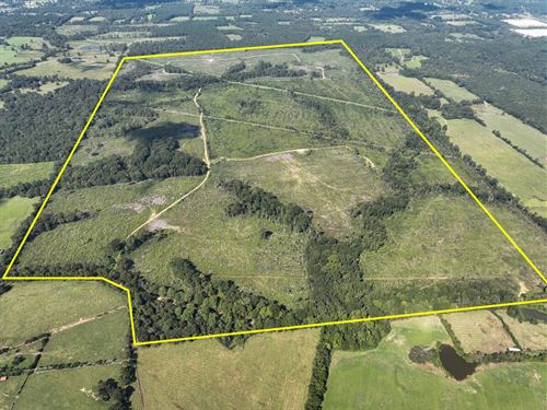 470 Acres, CR 4916 : Timpson : Shelby County : Texas