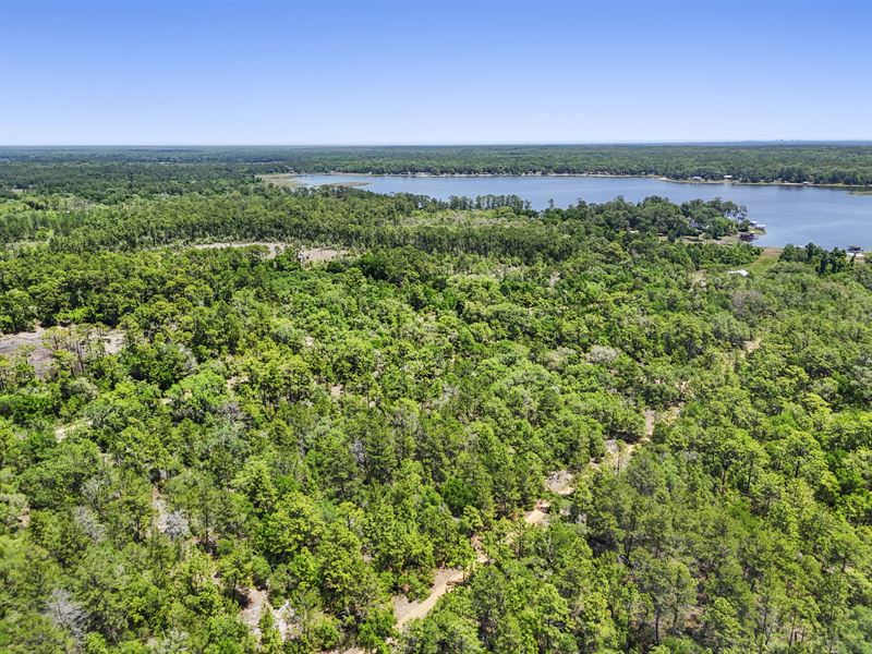 .43 Acres, Interlachen Fl, $280/Mo : Interlachen : Putnam County : Florida