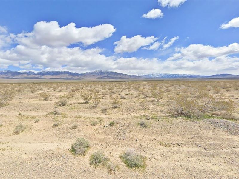 Land with Easy Access, $327.16/Mo : Pahrump : Nye County : Nevada