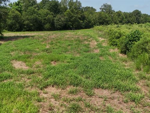 108 Acres in Franklin Parish, LA : Winnsboro : Franklin Parish : Louisiana