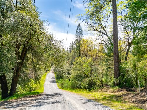 Black Ridge Estate : Greenwood : El Dorado County : California