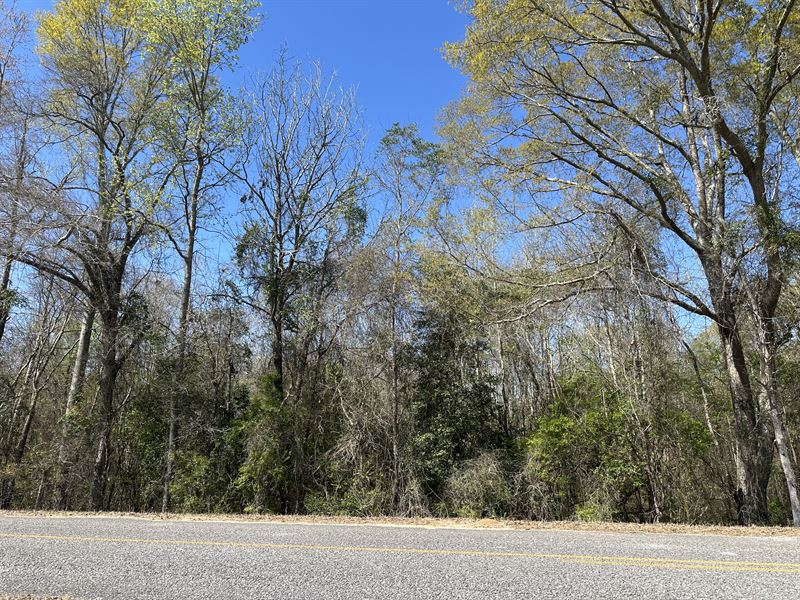 County Road 47 Lot 1 Pike Co. AL : Goshen : Pike County : Alabama
