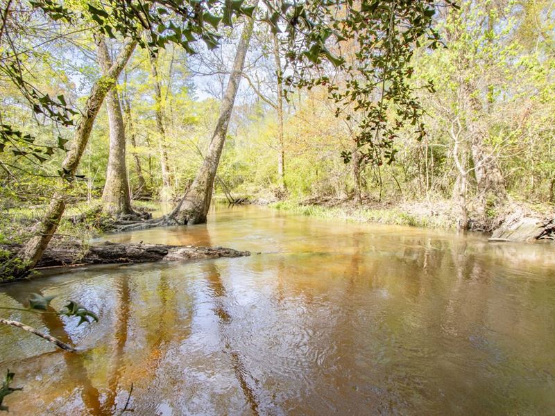 203 Ac Hunting with Creeks, Big Har : Graceville : Jackson County : Florida