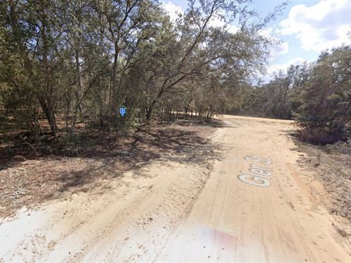 Interlachen, Fl, $214/Mo : Interlachen : Putnam County : Florida