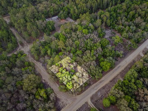 Interlachen, Fl, $280/Mo : Interlachen : Putnam County : Florida