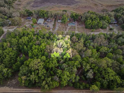 Lot in Interlachen, Florida $279/Mo : Interlachen : Putnam County : Florida