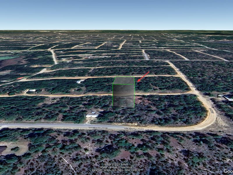 Lot in Interlachen, Fl, $214/Mo : Interlachen : Putnam County : Florida