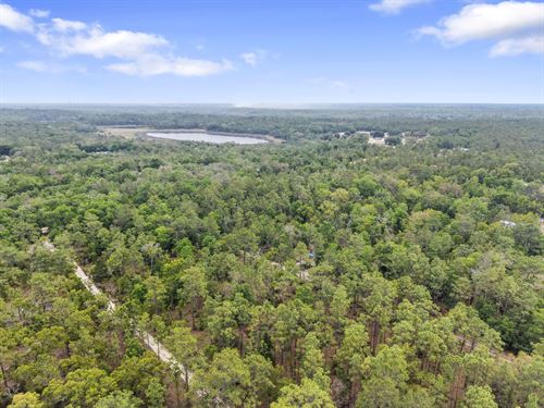 AG Zone, Hawthorne, Fl. $317/Mo : Hawthorne : Putnam County : Florida